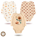 3'lü Uzun Kollu Kız Bebek Çıtçıtlı Body 03